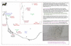 coo1d16 bay plenty west_thumb.gif